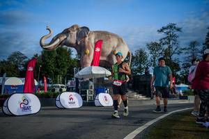 BIB: 
                            <button type="button" onclick="openModal(26541849)" class="btn btn-primary btn-sm float-right btn-popup" data-toggle="modal" data-target=".modal-high-quality">
                        <i class="fas fa-shopping-cart"></i> Add to Cart
                    </button>
                                            <button type="button" onclick="isThisMe(26541849, true)" class="btn btn-success btn-sm float-right btn-popup btn-isme hidden" data-toggle="tooltip" data-placement="bottom" title="นี่คือรูปของคุณใช่ไหม คลิกที่นี่เพื่อเอาเข้าอัลบั้ม">
                        <i class="fas fa-plus"></i> Add to album
                    </button>
                    <button type="button" onclick="isThisMe(26541849, false)" class="btn btn-warning btn-sm float-right btn-popup btn-isnotme hidden">
                        <i class="fas fa-ban"></i> Remove from album
                    </button>